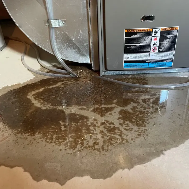 Pipe Burst and Leak Restoration in Torrance County, NM