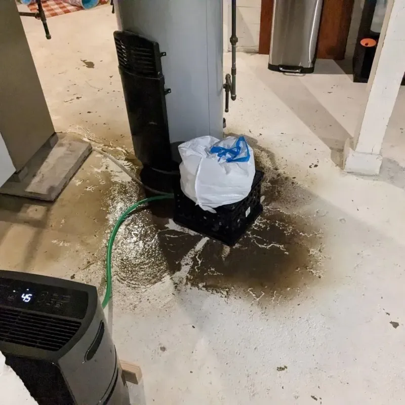 Sewage Backup Cleanup Service in Torrance County, NM